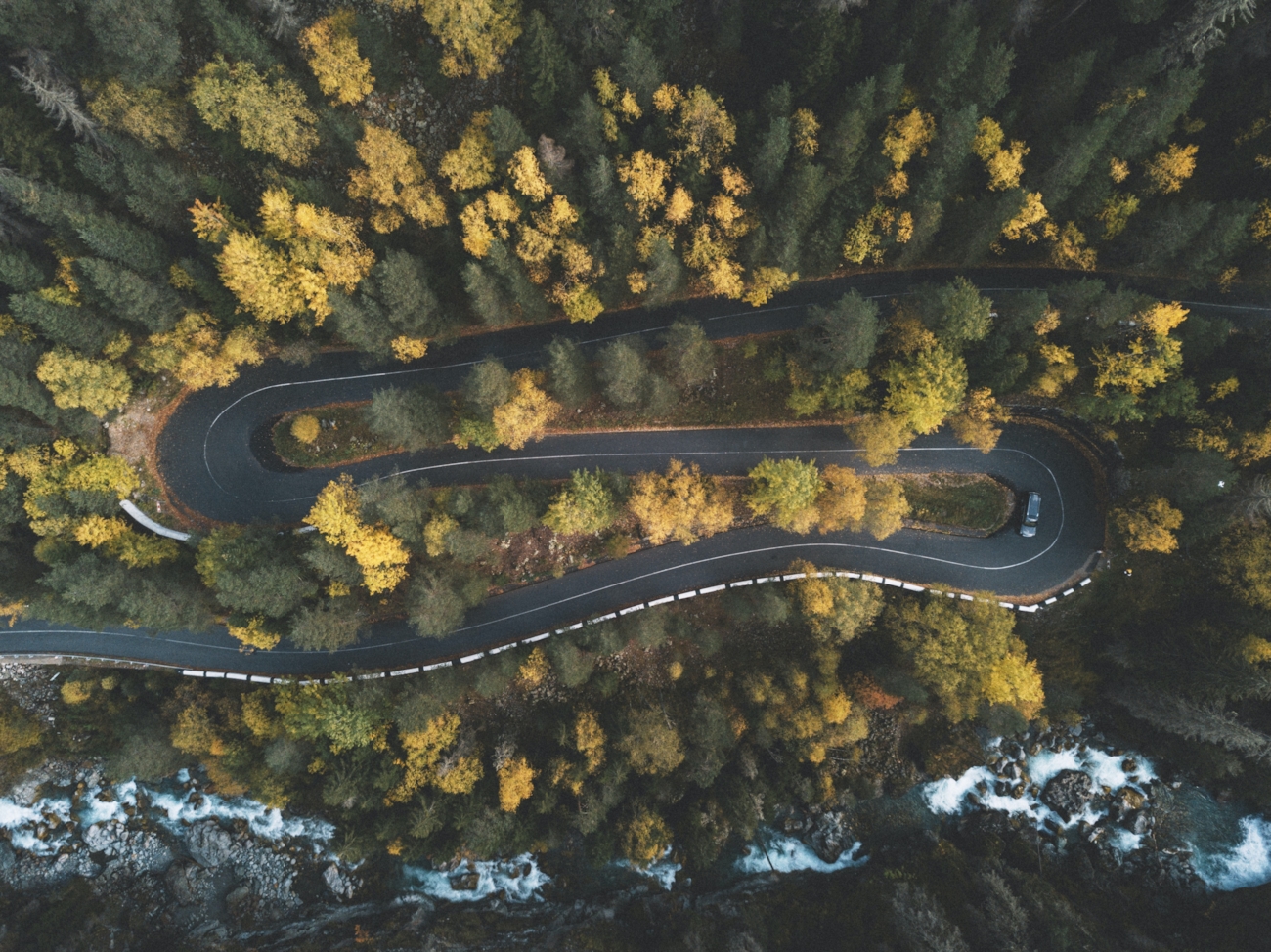 Dronefoto av buet vei med skog