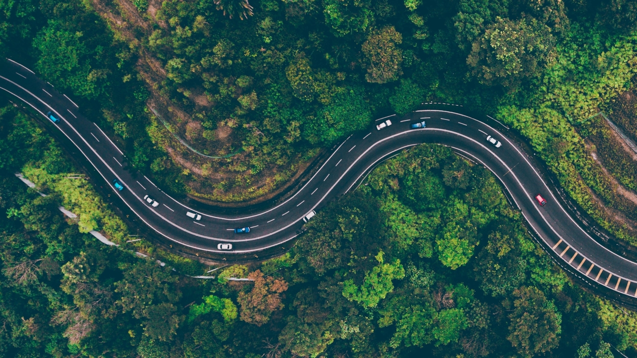 Dronefoto av vei med skog